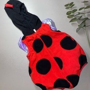 Carter’s ladybug costume